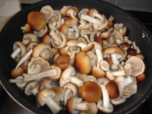 pioppinoPentola